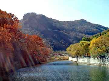 新澳门二四六天天彩，水晶耗材